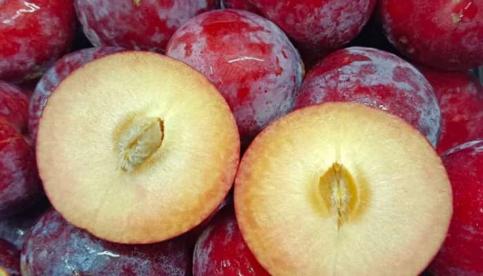 Plum Fruit Benefits: క్యాన్సర్ నుంచి గుండె జబ్బుల వరకు.. వామ్మో ఒక్క పండుతో ఇన్ని లాభాలా..? ఓ పట్టు పట్టాల్సిందే..!