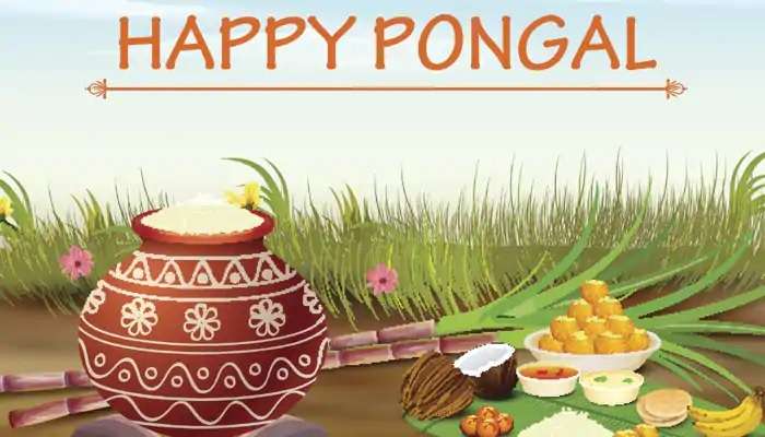 Pongal 2021 Date, Time: మకర సంక్రాంతి తేదీలు, ముహూర్తం.. పండుగ ప్రాముఖ్యత