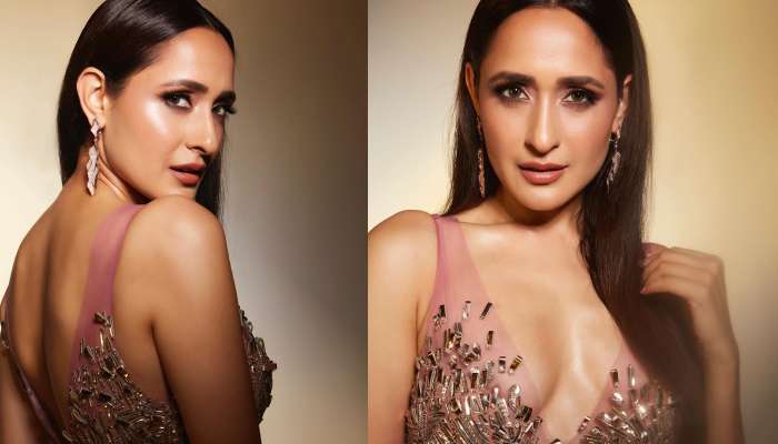 Pragya Jaiswal Hot Photos: ఉల్లిపొర లాంటి డ్రెస్లో అందాలు ఆరబోస్తున్న  బాలయ్య హీరోయిన్!