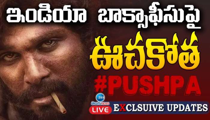 Pushpa 2 Day 1 WW Box Collections: ఇండియా బాక్సాఫీస్ పై పుష్ప 2 వైల్డ్ పైర్ ఊచకోత.. రికార్డుల రప రప..  