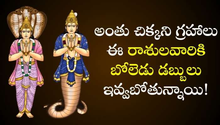 Rahu-Ketu Gochar 2025: చిక్కని గ్రహాలు ఈ రాశులవారికి బోలెడు డబ్బులు ఇవ్వబోతున్నాయి!