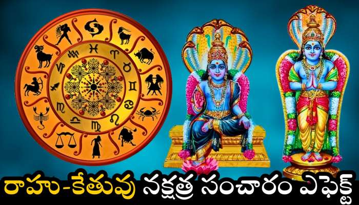 Rahu Ketu Nakshatra Transit: రాహు-కేతువు ఎఫెక్ట్‌.. ఈ రాశులవారు రాత్రికి రాత్రే అపార కుబేరులు కాబోతున్నారు!