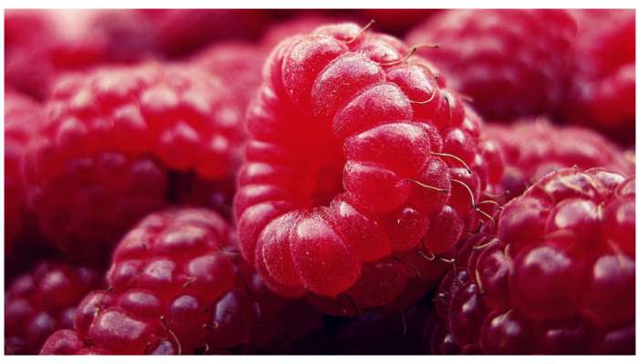 Rasberry Health Benefits: రాస్బెరీలతో కలిగే ఈ 5 అద్భుతమైన ప్రయోజనాలు తెలిస్తే తినకుండా ఉండలేరు..