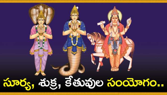  Rasi Phalalu: సూర్య, శుక్ర, కేతువుల సంయోగం.. వీరికి ఎటు చూసిన డబ్బే..