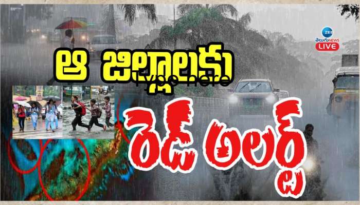 Rain Alert: ఆ జిల్లాలకు రెడ్ అలర్ట్.. ఈ జిల్లాల్లో స్కూళ్లకు సెలవు.. ?