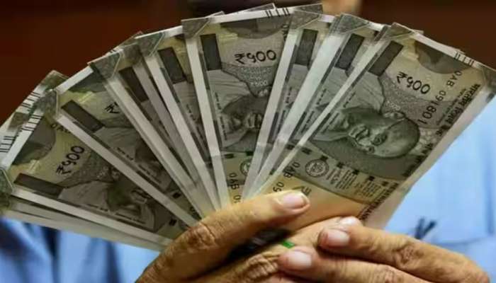 Business Ideas: మీరు పావు ఎకరం భూమిలో కూడా బంగారం పండించవచ్చు.. ఈ పంట సాగుతో డబ్బులే డబ్బులు..!! 