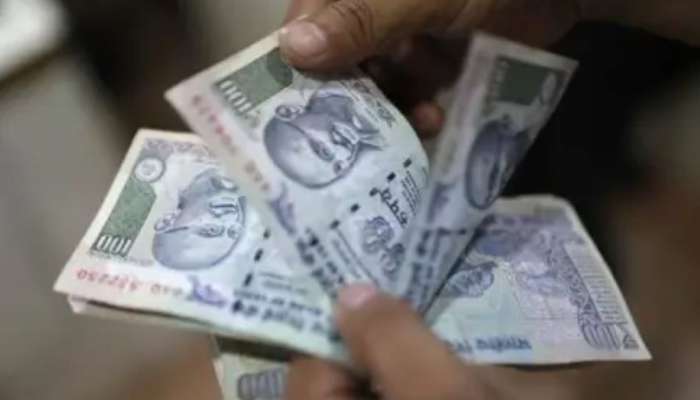 Business Ideas: పల్లెల్లో దొరికే ఈ కాయలను పట్నం తెచ్చుకొని అమ్మితే ఎంత లాభామో తెలిస్తే షాక్ అవుతారు.. భలే బిజినెస్ ఐడియా అక్కో..!! 