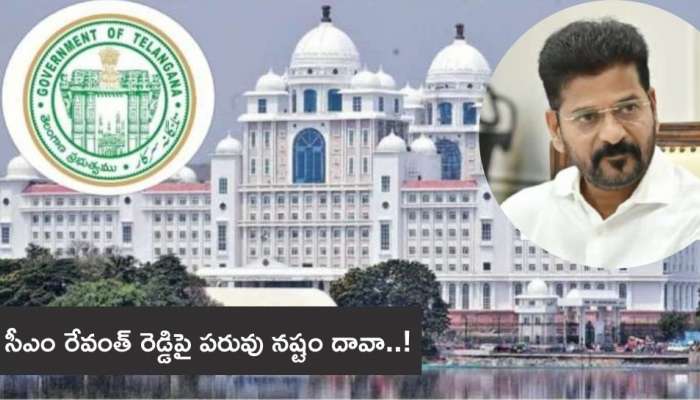 Telangana: విజయోత్సవాల ముందు కీలక పరిణామం.. సీఎం రేవంత్‌ రెడ్డిపై పరువు నష్టం దావా!