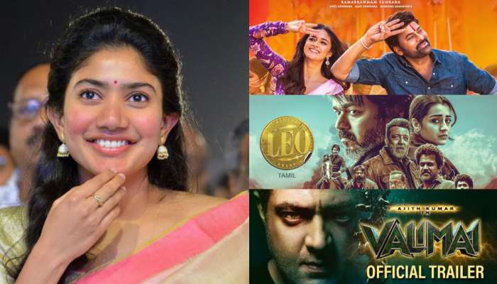 Sai Pallavi: చిరు, విజయ్,అజిత్ ఎవడైతే నాకేంటి.. క్యారెక్టర్ నచ్చకపోతే చేసేదేలేదంటున్న సాయి పల్లవి..