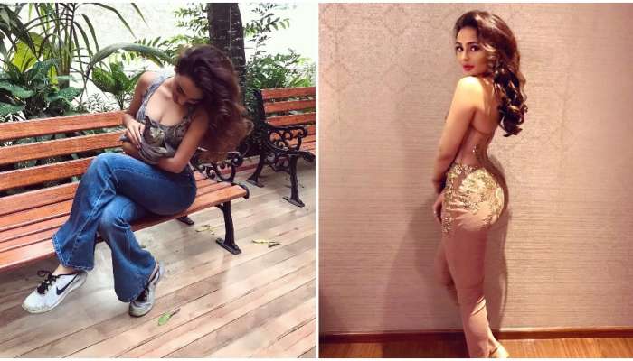 Seerat Kapoor Latest Pics: చక్కమన్న చిక్కినా అందమే.. సీరత్ కపూర్‌ బాగుందిగా!!