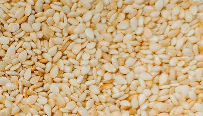   Sesame seeds in winter: చలికాలంలో ప్రతి రోజు ఒక స్పూను నువ్వులు తింటే చాలు.. బీపీ, షుగర్ సహా ఈ జబ్బులు తగ్గడం ఖాయం