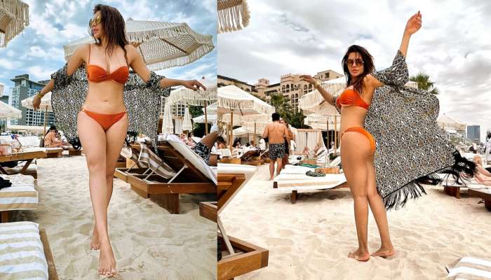 Shama Sikander Bikini Pics: బికినీలో షామా సికిందర్ భారీ అందాలు.. మొత్తం విప్పి చూపించేసిందిగా! పిచ్చెక్కిపోతున్న కుర్రకారు 