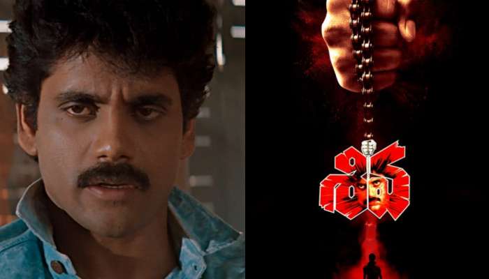 Shiva 4K Collections: నాగార్జున ‘శివ’ 4K రీ రిలీజ్ టోటల్ కలెక్షన్స్.. సీనియర్ హీరోల్లో నాగార్జున సరికొత్త రికార్డు..