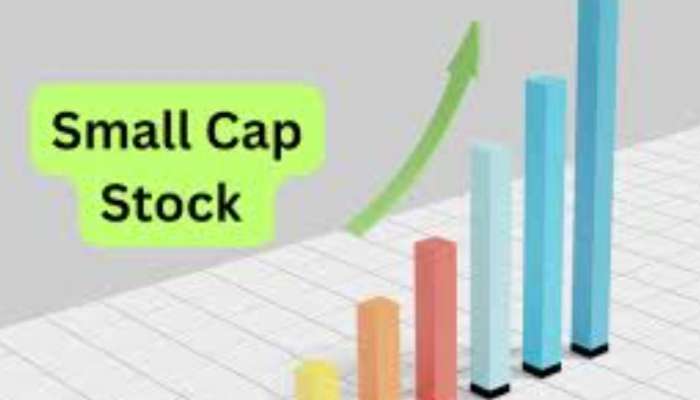 Smallcap stock: ఈ 30 రూపాయల స్టాక్.. ఇన్వెస్టర్ల పంట పండించింది.. ఎలాగో తెలుసా? 