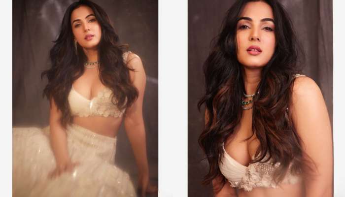 Sonal Chauhan: హాట్ క్లీవేజ్ షోతో కిర్రాక్ పుట్టిస్తున్న బాలయ్య భామ సోనాల్ చౌహాన్.. లేటెస్ట్ పిక్స్ వైరల్..