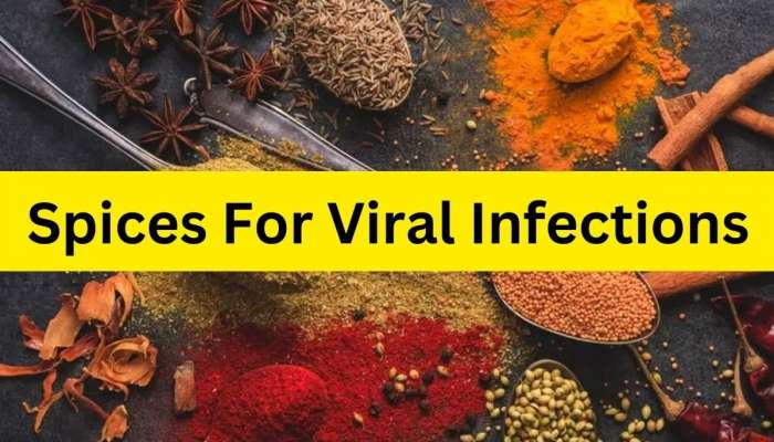 Viral Infections: ఈ 4 మసాలా వస్తువులతో వైరల్ ఇన్‌ఫెక్షన్లకు చెక్