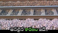 రైలు పట్టాల మధ్య రాళ్లను ఎందుకు పోస్తారో మీకు తెలుసా? అసలైన కారణం ఇదే..