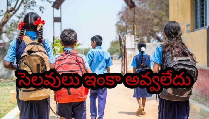  Tomorrow School Holiday: స్కూల్ పిల్లలకు హాలిడేస్ అవ్వగానే గుడ్ న్యూస్.. రేపు అన్ని స్కూళ్లకు సెలవు..!