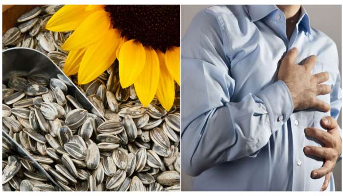 Sun Flower Seeds Benefits: సన్‌ఫ్లవర్‌ సీడ్స్‌ తింటున్నారా? అయితే, మీరు తప్పక తెలుసుకోవాల్సిన విషయాలు..