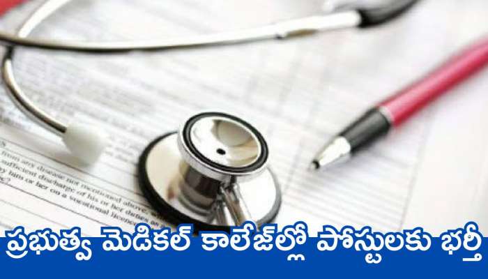 Jobs Recruitment 2025: తెలంగాణ నిరుద్యోగులకు సంక్రాంతి శుభవార్త.. ప్రభుత్వ మెడికల్ కాలేజ్‌ల్లో పోస్టులకు భర్తీ.. జీతం ఎంతంటే.. 