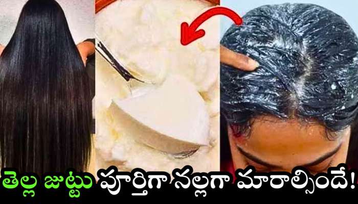 White Hair To Black: పెరుగులో ఇది కలిపి జుట్టుకు రాస్తే.. తెల్ల జుట్టు పూర్తిగా నల్లగా మారాల్సిందే..