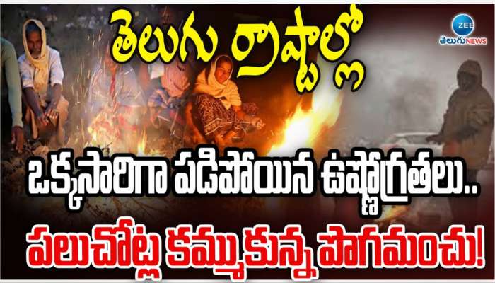 Cold Wave in Telugu States: తెలుగు రాష్ట్రాల్లో  దారుణంగా పడిపోయిన ఉష్ణోగ్రతలు.. పలుచోట్ల కమ్ముకున్న పొగమంచు..