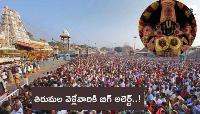 Tirumala: తిరుమల శ్రీ వేంకటేశుని భక్తులకు బిగ్‌ అలెర్ట్‌..! డిసెంబర్‌ 12న చక్ర తీర్థం..