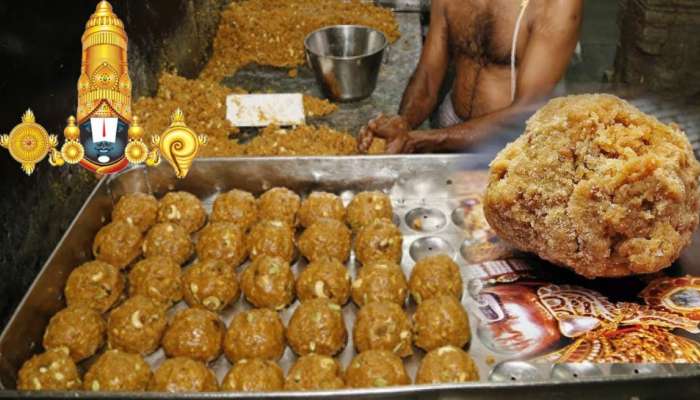 Tirumala Laddu Controversy: తిరుమల శ్రీవారి లడ్డూ వ్యవహారంలో  సిట్‌ దర్యాప్తు ముమ్మరం.. 