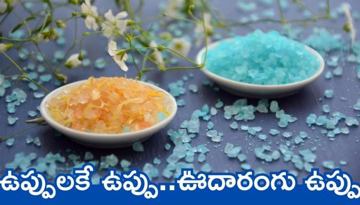 Very Costly Salt: ఉప్పులకే ఉప్పు.. ఊదారంగు ఉప్పు.. ధర తెలిస్తే షాక్‌ అవ్వాల్సిందే భయ్యా..