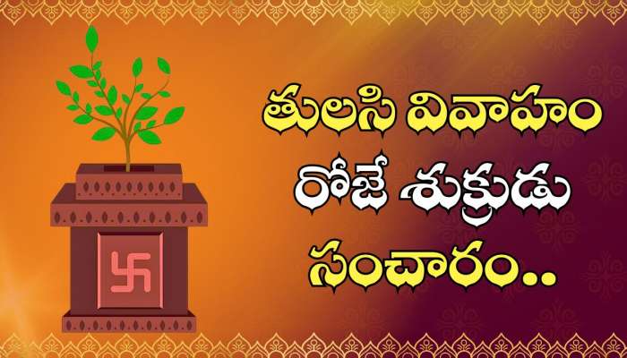 Venus Transit 2025: తులసి వివాహం రోజే శుక్రుడు సంచారం.. 3 రాశుల వారికి లక్ష్మీదేవి ఆశీస్సులు.. ఏం చేసినా డబ్బే, డబ్బు!