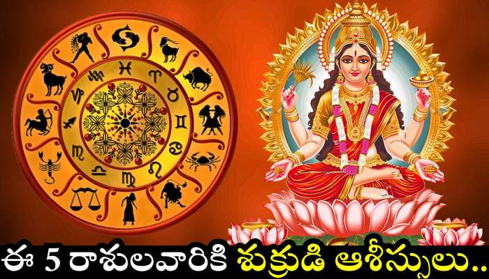 Venus Transits: ఈ 5 రాశులవారికి శుక్రుడి ఆశీస్సులు.. డబ్బుతో పాటు ఊహించని లగ్జరీలైఫ్‌ పొందుతారు!