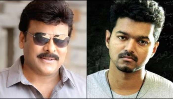 Vijay Vs Chirajeevi: విజయ్,చిరంజీవి కుటుంబానికి మధ్య ఉన్న ఈ చిత్రమైన రిలేషన్  తెలుసా..!