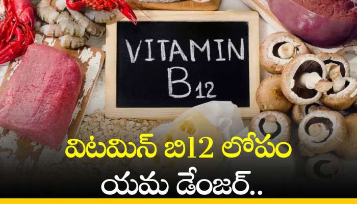 Vitamin B12 Deficiency: విటమిన్ బి12 లోపం యమ డేంజర్‌.. ఎందుకో తెలుసా?