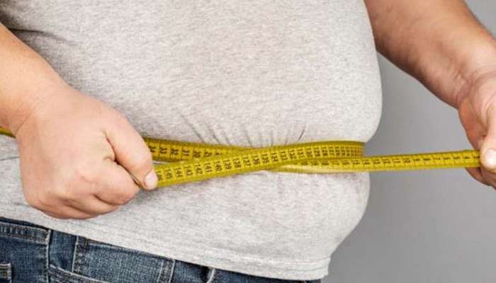 Obesity Remedies: ఈ 4 చిట్కాలు పాటిస్తే నెలరోజుల్లోనే స్థూలకాయం మాయం