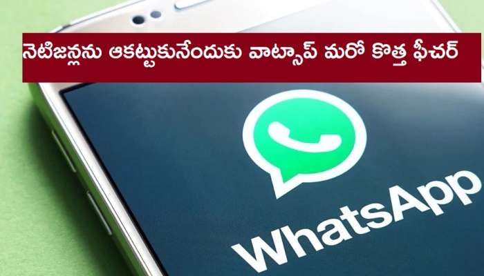 WhatsApp Privacy Policy: ప్రైవసీ పాలసీపై వివాదంలోనూ సరికొత్త ఫీచర్ తీసుకొచ్చిన WhatsApp