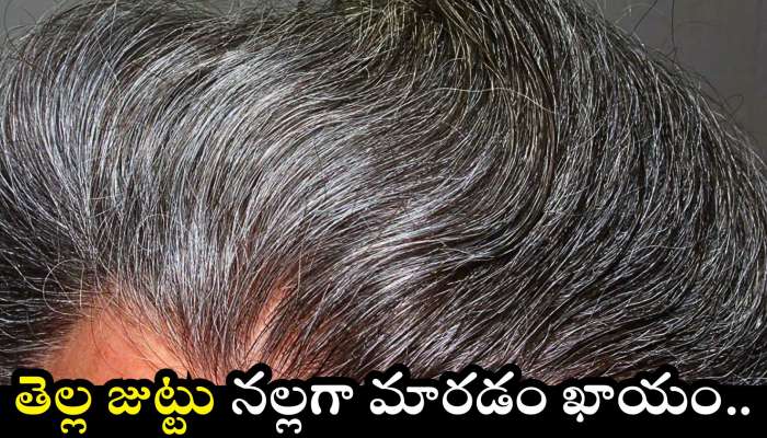Premature White Hair: మజ్జిగలో ఇది కలిపి జుట్టుకు రాస్తే.. 10 నిమిషాల్లో తెల్ల జుట్టు నల్లగా మారడం ఖాయం..