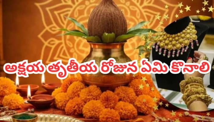 Akshaya Tritiya 2026: అక్షయ తృతీయ రోజు బంగారం కాదు.. ఈ 10 రూపాయల వస్తువు కొన్న చాలు..లక్ష్మీ కటాక్షం మీ ఇంటికే!