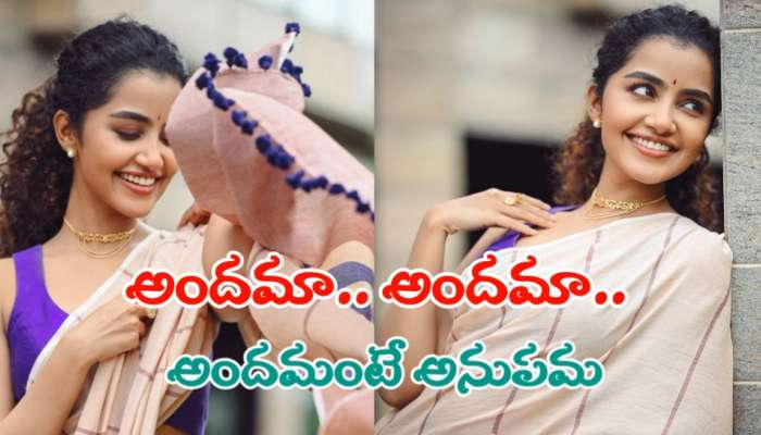 Anupama Parameswaran: చీరలో చిరునవ్వులు చిందిస్తున్న అనుపమ పరమేశ్వరన్.. ఫొటోలు వైరల్..!