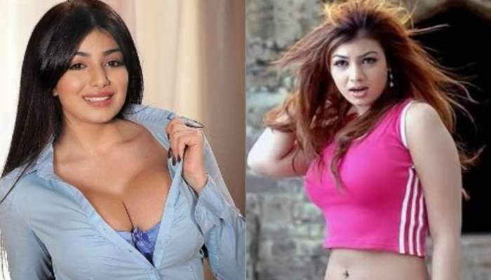 Ayesha Takia: మీరు మనుషులేనా..?.. గోవా స్థానికులపై మండిపడిన అయేషా టాకియా.. మ్యాటర్ ఏంటంటే..?