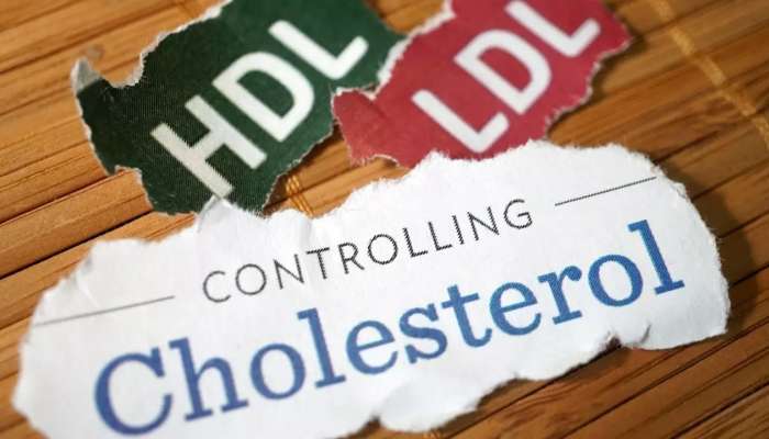 Cholesterol Diet: శరీరంలో కొలెస్ట్రాల్ ను మంచులా కరిగించే మ్యాజిక్ ఫుడ్స్ ఇవే..