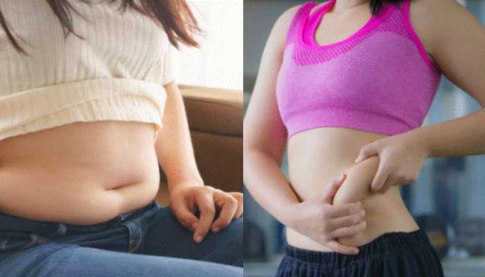 Belly Fat: ఈ టిప్స్‌ పాటిస్తే మీ పొట్ట చుట్టు కొండలా ఉన్న కొవ్వు.. క్యాండిల్‌లా కరిగిపోతుంది..