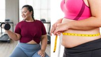 BellyFat: పొట్ట కింద కొవ్వుపేరుకుపోవడానికి ఇవే కారణాలంటా..?.. నిపుణులు ఏమంటున్నారంటే