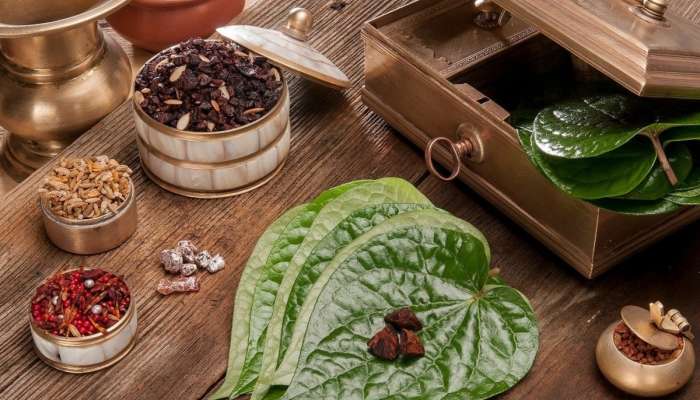 Betel Leaf Uses: తమలపాకు తినడం వల్ల కలిగే ప్రయోజనాలు ఏమిటి? 