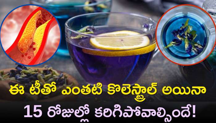 Cholesterol Reducing: ఈ బ్లూ టీతో ఎంతటి కొలెస్ట్రాల్ అయినా 15 రోజుల్లో కరిగిపోవాల్సిందే!