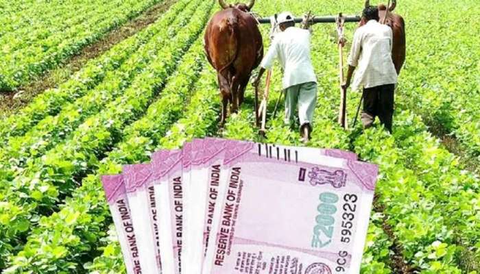  Business Ideas: నవంబర్-డిసెంబర్ మధ్య ఈ పంట సాగు చేస్తే.. ఎకరాకు రూ. 2 లక్షల లాభం..!!