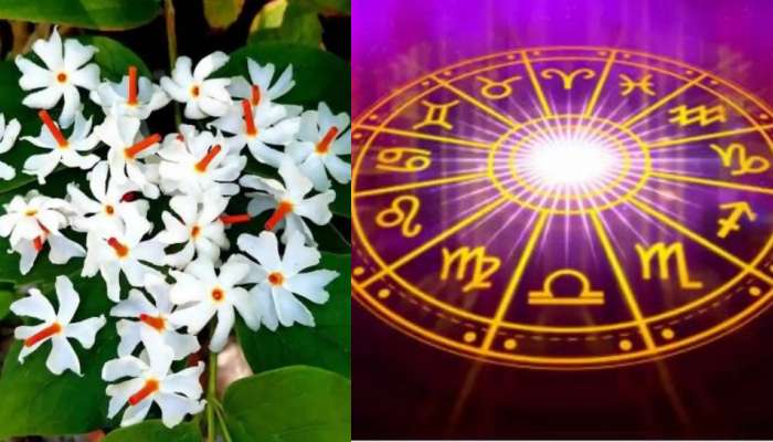 Parijat Raj Yog: 66 ఏళ్ల తర్వాత అరుదైన పారిజాత యోగం.. బంపర్ డబ్బుల మూటలు సొంతం చేసుకుంటున్న రాశులు ఇవే..  మీరున్నారా..?