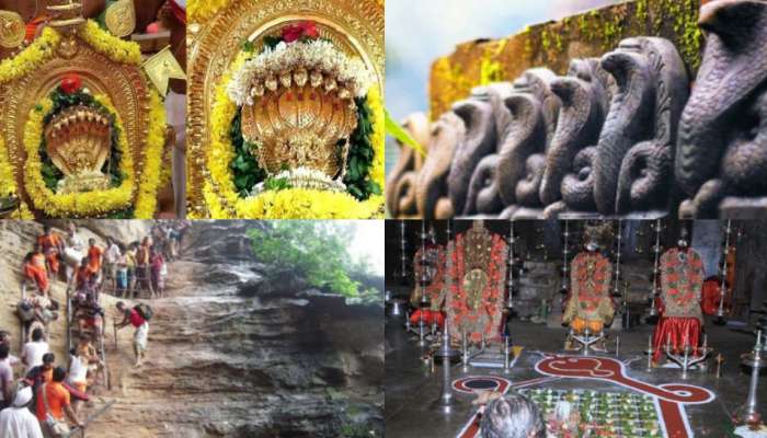 Naga Panchami 2024: దేశంలోనే శక్తివంతమైన 6 నాగ దేవత  ఆలయాలు.. ఒక్కసారి దర్శిస్తే పదిజన్మల కాలసర్పదోషాలు మాయం..