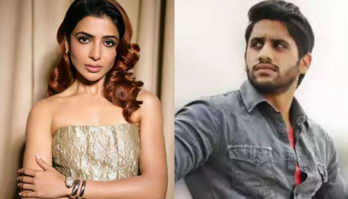 Samantha: అప్పుడే అలాంటి వారికి కౌంటర్ ఇవ్వొచ్చు...  చైతు పెళ్లి వేళ ఇచ్చిపడేసిన సమంతా..?.. పోస్ట్ వైరల్..