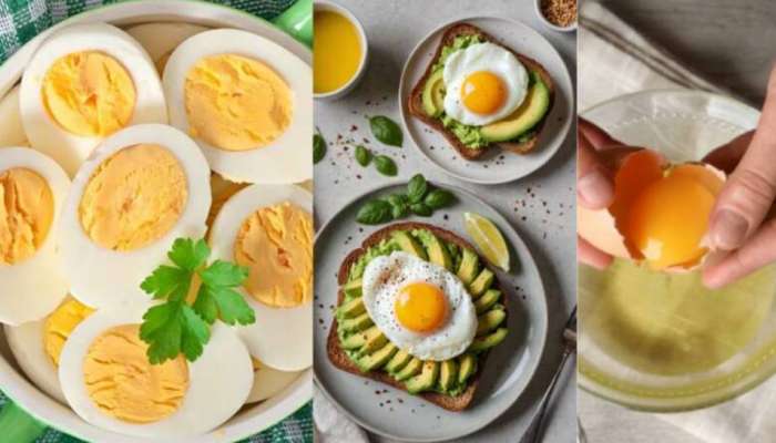 Gas and Eggs: గుడ్లు తినడం వల్ల గ్యాస్ ప్రాబ్లమ్ వస్తుందా..? ఇందులో ఉన్న నిజాలేంటి..? అపోహాలు ఏంటి..? 