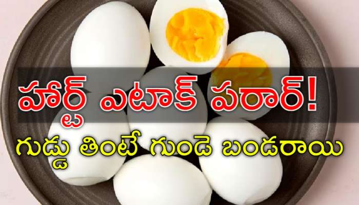 Eggs Daily: గుడ్డు ఆరోగ్యానికి వెరీగుడ్..! రోజుకు 2 గుడ్లు తింటే అద్భుతాలే